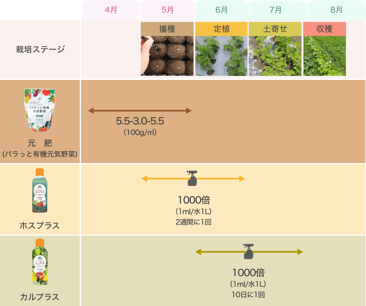 画像：枝豆栽培暦